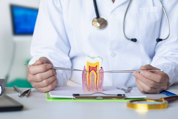 Best Emergency Broken Tooth Repair in Leisure Village West, NJ